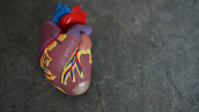 Cardiovascular Imaging