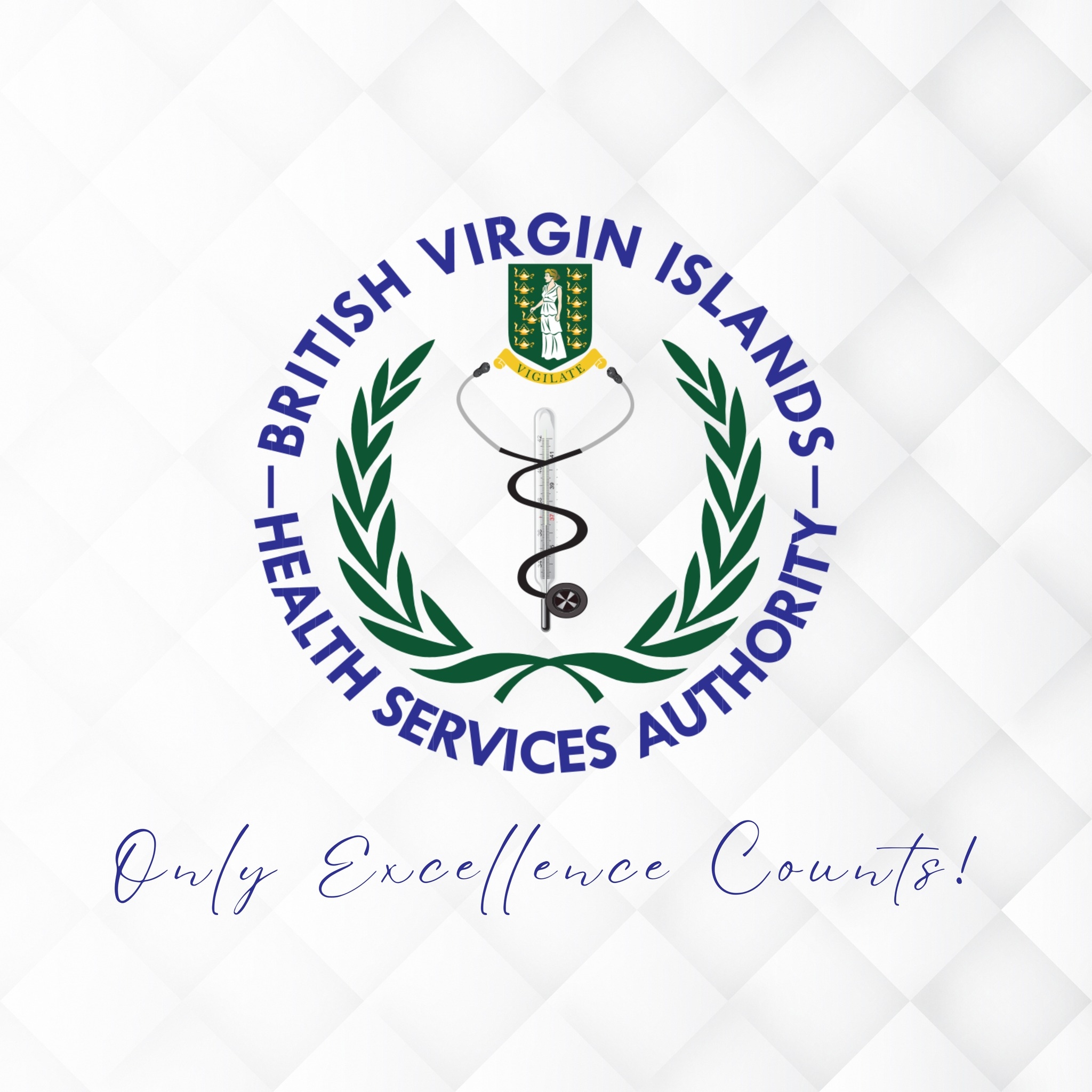 BVI Health Services Authority