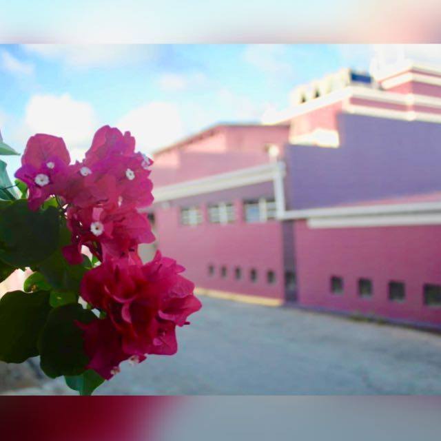 The Bougainvillea Clinic